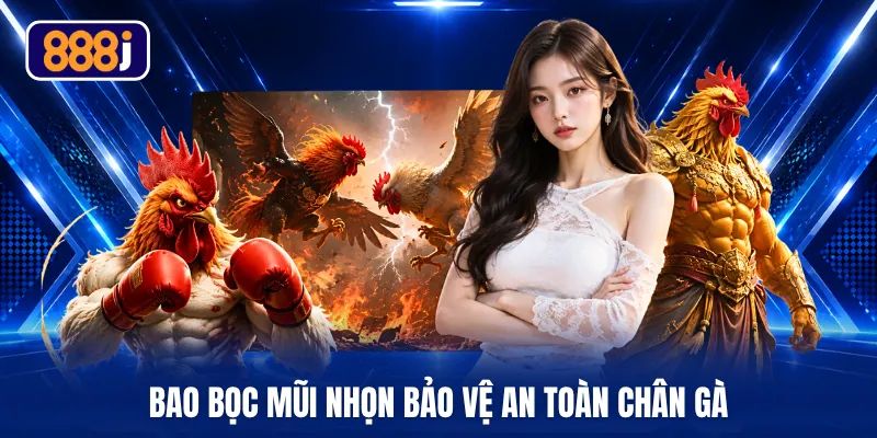 Bao bọc mũi nhọn bảo vệ an toàn chân gà